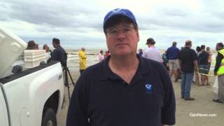 Sea Turtles released in Galveston