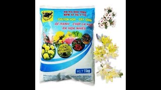 Phân Đầu Trâu NPK 17-15-7-TE, Ra Rễ Mạnh Mập Chồi Lá Khỏe, 0967 863 963