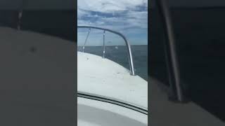 Botany Bay adventure in choppy water!