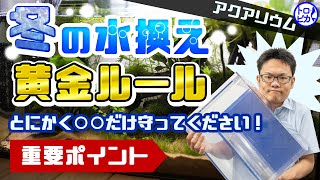 冬の水換え黄金ルール！とにかく○○だけ守ってください！