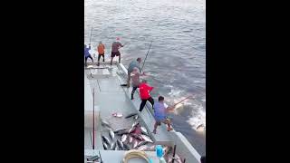 fishing deep sea in Maldives