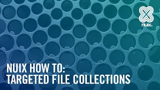 Nuix Enterprise Collection Center - Targeted File Collections