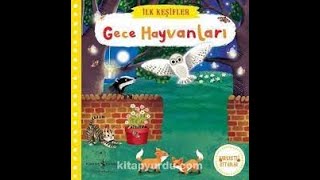 Gece Hayvanları Hareketli Kitap