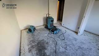 Water Damage Restoration Service in Washington, DC | Flood Damage Pro