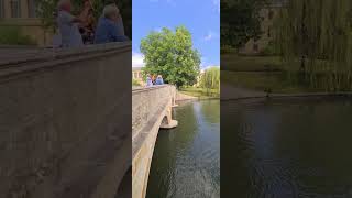 Trinity Bridge University of Cambridge #shorts #shortsvideo #shorts_video #cambridge #trinity