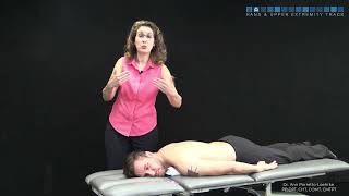 Prone axial rotation assessment