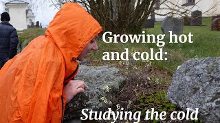 Growing hot and cold : studying the cold