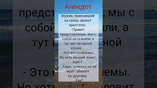 😂Анекдот как кот ловил мышек #shorts #приколы #шутки