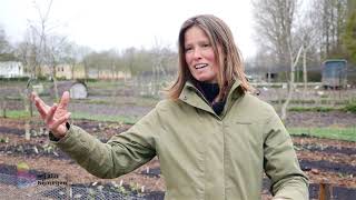 Ecologische moestuincursus voor kids