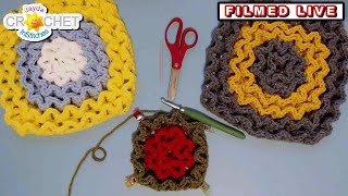 Q & A for our Fluted Granny Square Pattern - LIVE Crochet Workshop - Nov. 17, 2024