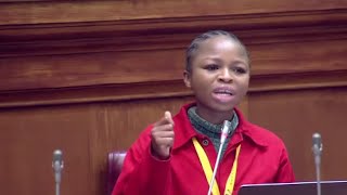 Education Budget Vote | MK & EFF Reject “We Will Not Allow You To Mislead The Nation With Fake Jobs”