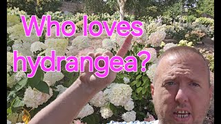 Hydrangea Heaven: The World's Largest Collection