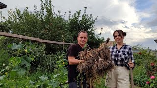 ЖИЗНЬ ЗА ГОРОДОМ 🏡 ВЫКОПАЛИ ЧЕСНОК | ДЕРЕВЕНСКИЕ РАДОСТИ | КОСИМ ТРАВУ | ДОЖДИ