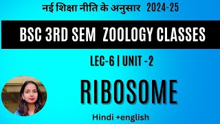 lec-6|Ribosome|Bsc 3rd sem zoology classes|Hindi & english|#bsczoology #bsc3rdsemester