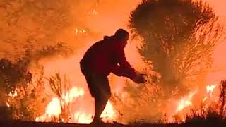 JOVEN SE ORILLA EN UNA CARRETERA EN L.A. CALIFORNIA  PARA SALVAR UN CONEJITO DE LOS INCENDIOS!