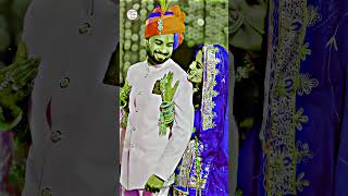 Gumo Manuda Gumo New Rajasthani banna baisa Song New Rajasthani Status Video 2023