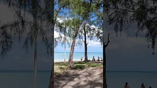 Атмосфера на пляже Мон Шуази на острове Маврикий #shorts #shortvideo #mauritius