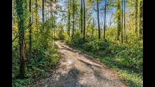 #193 208 St,Langley - Real Estate Virtual Tour - Scott Strudwick PREC