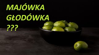 Majówka... głodówka???     (Majówka z humorem)