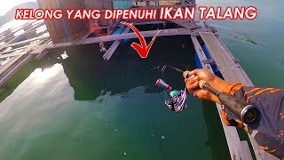 Kembali Menerjah Lubuk Talang  Di Kelong Aly (Ultralight jigging)