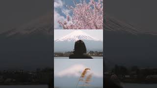 Sakura season in Japan right 🌸 Lake Kawaguchi, Mount Fuji, Tokyo day trip, cherry blossom, hanami