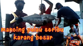 mancing di pulau seribu//spot karang besar//sarangnya ikan babon