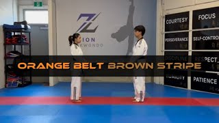 Orange Belt - One Step Defense - High Block defense - Brown Stripe