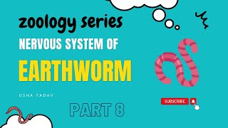 Lecture 8 Nervous System of Earthworm Part || #bsc #zoology