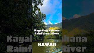 Kayaking Kahana Rainforest River #shorts #hawaii #nature #natureaddict #adventure #kayakadventures