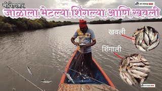 दर्यान जाळे टाकून भेटल्या 5 किलो शिंगल्या आणि 2 किलो खवली#agarikoli#catfish#konkanlife #villagelife