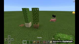 a lógica do mcpe