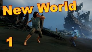 New World Coop - Well We Managed To Play, Just  Pt 1