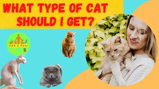 What type of Cat should I get? | Which type of cat sheds the least?