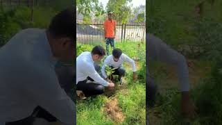 plantation in fields for green 💚 🍏 #trending #haryana #dailyvlog #reels #2023