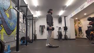 Dumbbell Calf Raises (2 inch plate)