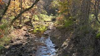 Autumn Moment at the Creek