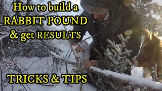 How to BUILD A RABBIT POUND & GET RESULTS!! |  TIPS & TRICKS of the trade | An Overnighter