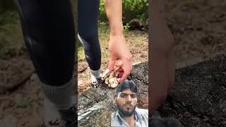 क्या दिमाग है #Shorts #ytshorts #bushwoman #food  #bushcamp #satisfying #bushcraft #outdoorsurvival