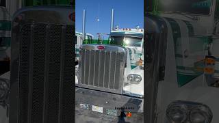 Dane Nelsen’s bug shield story #peterbilt #truck #trucking #diesel #truck