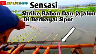 MANCING CIRATA-SENSASI STRIKE BADOT & JAJALON DARI BERBAGAI SPOT