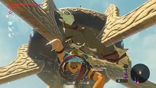 Wasteland Tower The Legend of Zelda Breath of The Wild