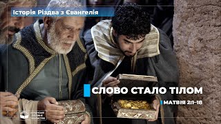 Слово стало тілом. День 7 (Матвія 2:1–18)