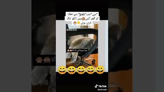 Funny Video 😂