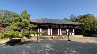 Akishino-dera Temple: Daigen-do Hall, Kaizan-do Hall and Main Hall with the sounds of birds chirping