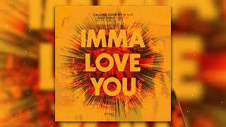 Tungevaag & Steerner x Sebastian Ingrosso & Alesso - Imma Love You x Calling (Nick Niroz Mashup)