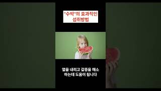 "수박"의 효과적인 섭취방법