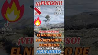 😰🌳🔥EL GRAN NEGOCIO DEL FUEGO:INCENDIOS FORESTALES PROVOCADOS.🔥🌳😰