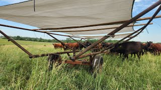 Portable Shade Structure Review