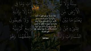 تلاوة جميلة من سورة البقرة الآية 255 بصوت القارئ مشاري راشد العفاسي #حالات #فولو #quran #shorts