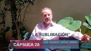 Cápsula 28: La sublimación | José Eduardo Tappan